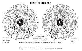 Iridology Chart 2 Health Iridology Iridodiagnosis Or