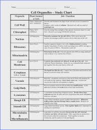Cell Parts And Functions Worksheet Worksheet Fun And Printable