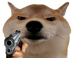 Here are some of the most popular doge meme. Gun Doge Blank Template Imgflip