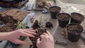 Ideas For Improving Garden Soil Make
