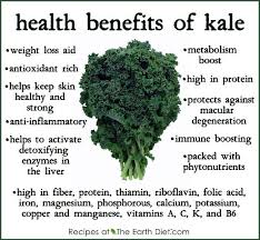 27 Unusual Types Of Kale Chart