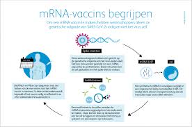 Het coronavirus leidt nog steeds tot veel vragen, over de verdere gevolgen in nederland maar ook over het vaccinaties op reis is de specialist voor inentingen in nederland. 2020 Het Jaar Van Het Mrna Vaccin Pfizer