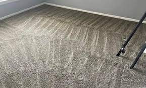 winter park carpet cleaning deals in