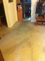 ky carpet rug cleaners mapquest