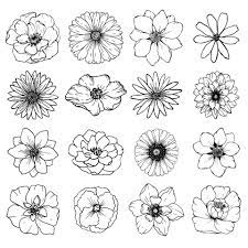 diffe flower sketches