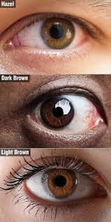 hair color for your brown eyes