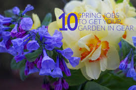 10 Spring Jobs To Get Your Garden In