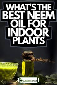 best neem oil for indoor plants