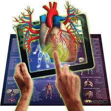 Human Anatomy Interactive Smart Chart